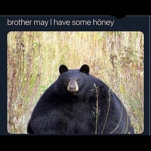 Meet your Posher, Matt